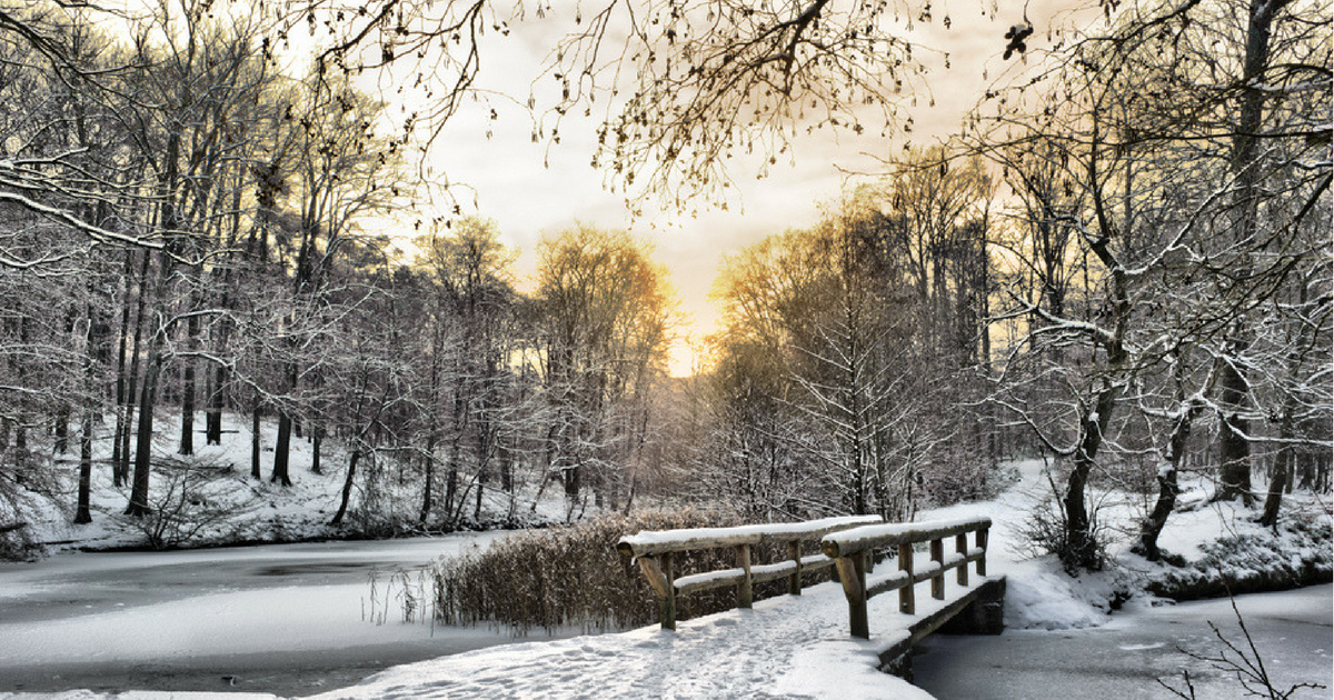 post-header-image