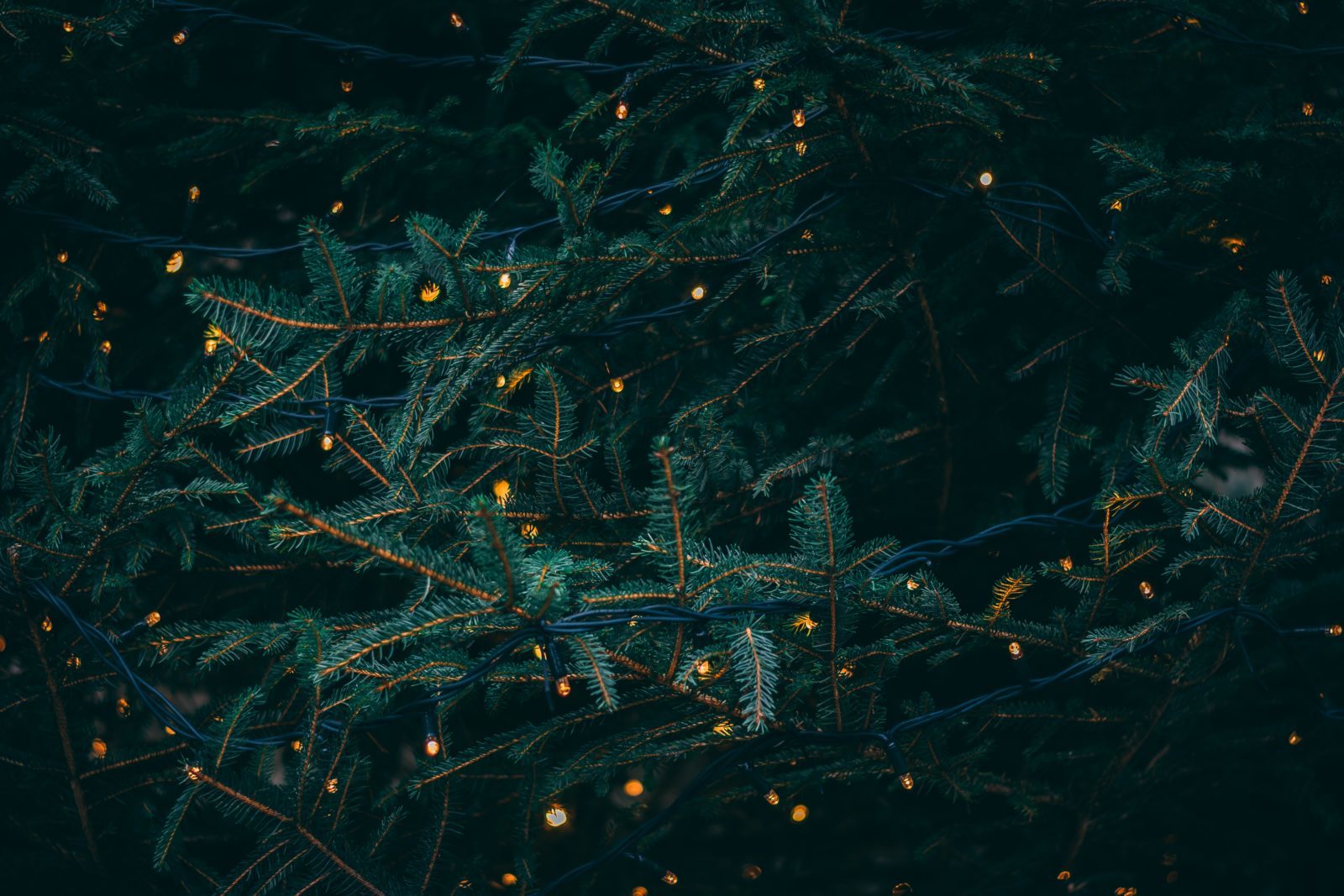 post-header-image